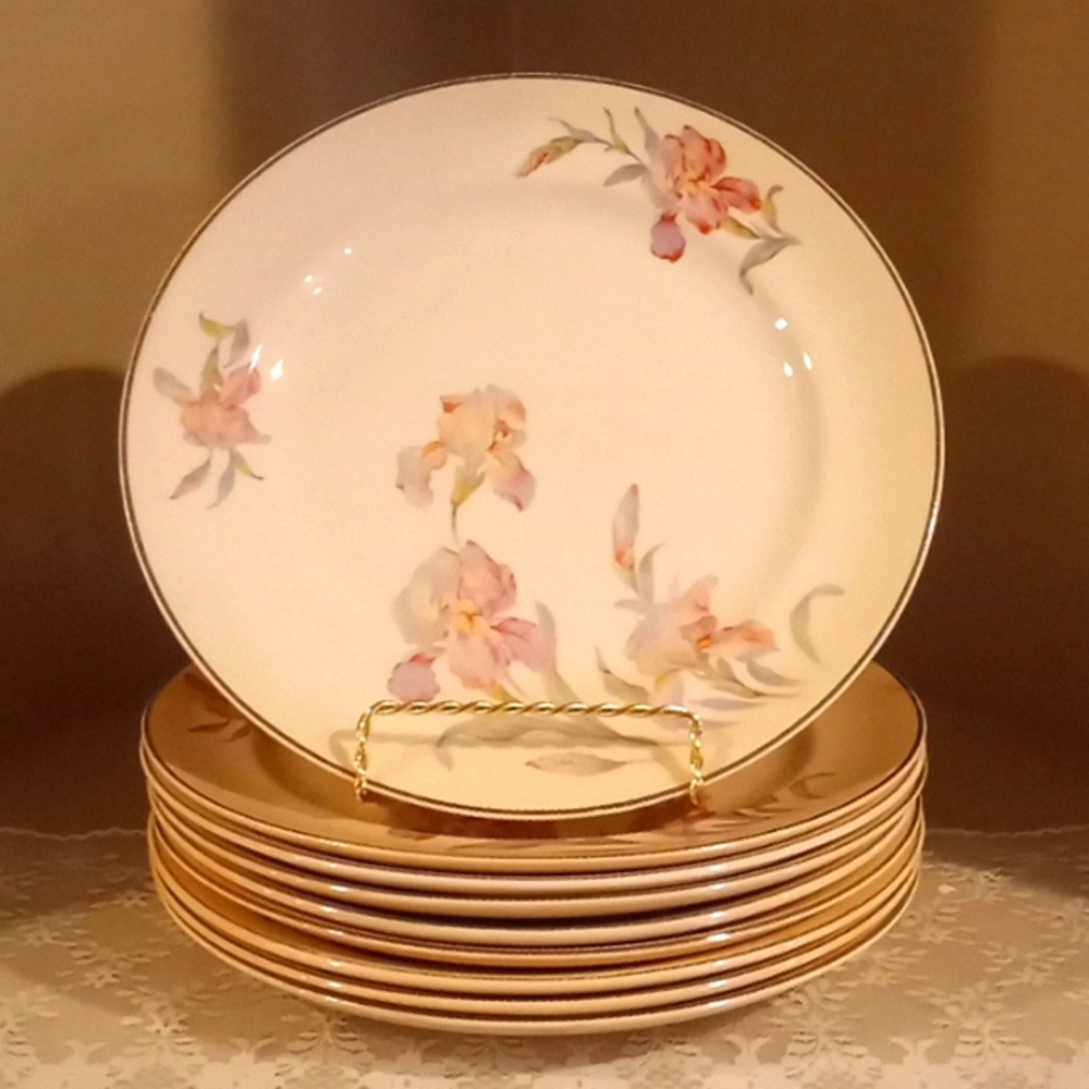 Vintage Universal Cambridge Iris Plate Bundle - 9 - 9.25"  Dinner Plates